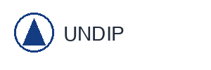 undip